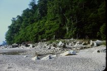 View south along the beach